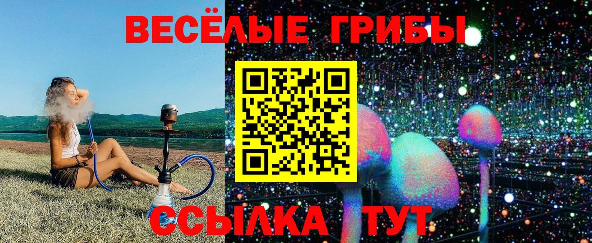 Псилоцибиновые грибы Cubensis  Вход с VPN  Полевской 